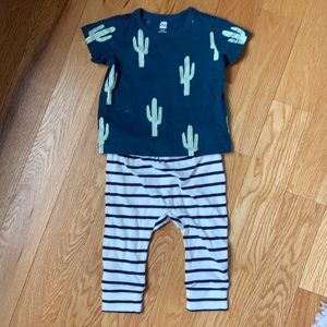 Tea Collection 9-12m outfit